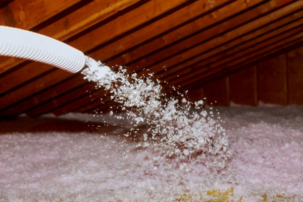 Best Insulation Maintenance and Repair in Coldstream, KY